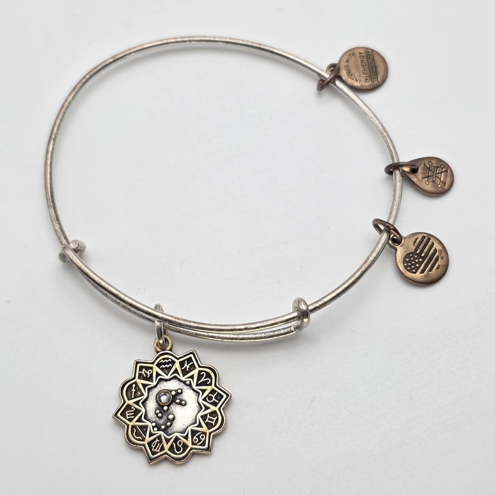 ALEX &‎ ANI Aquarius Bracelet Zodiac Expandable Charm Bangle Made in USA!!